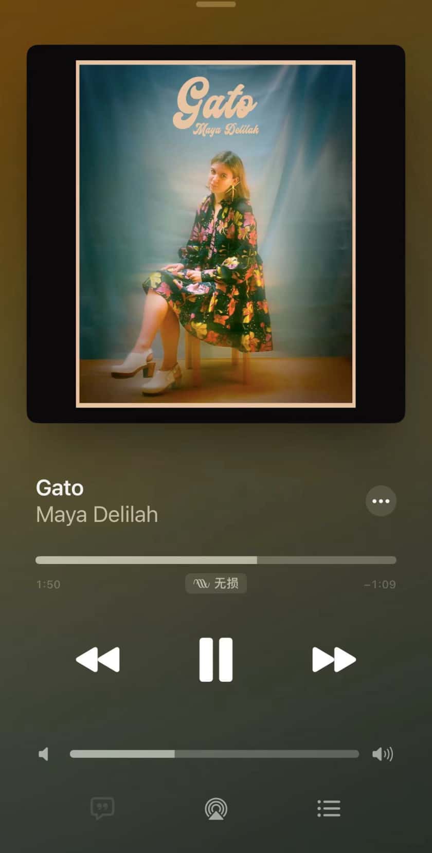 Gato-Maya Delilah